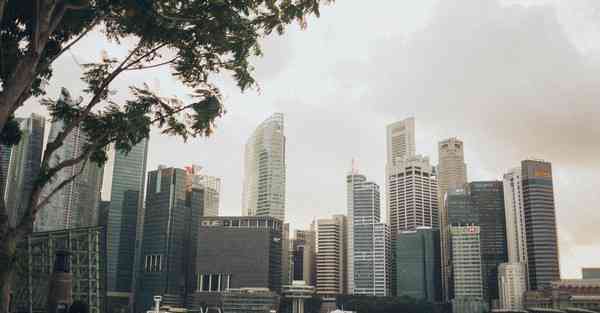 科大智能机器人业务区别