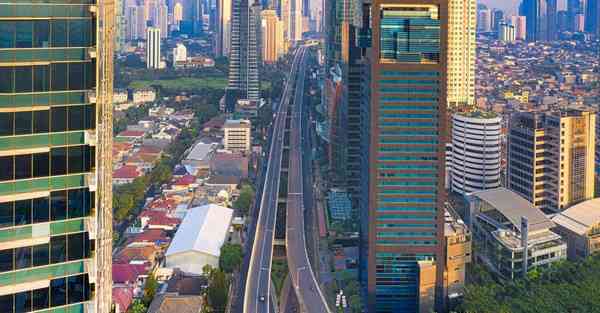 高职智能机器人教育