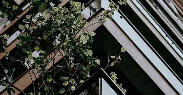 人才大数据建设