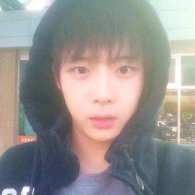 施翠倩纪