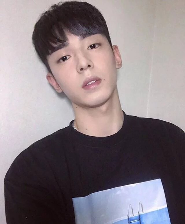 宗黛致龙