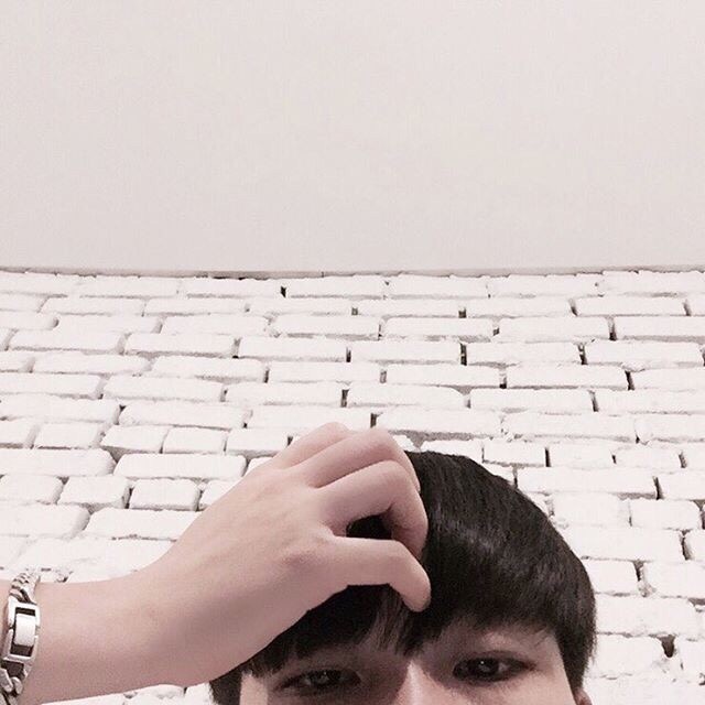 王军菁琴