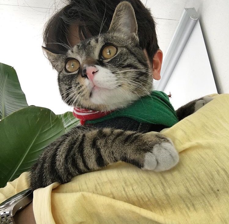 李士盛琴
