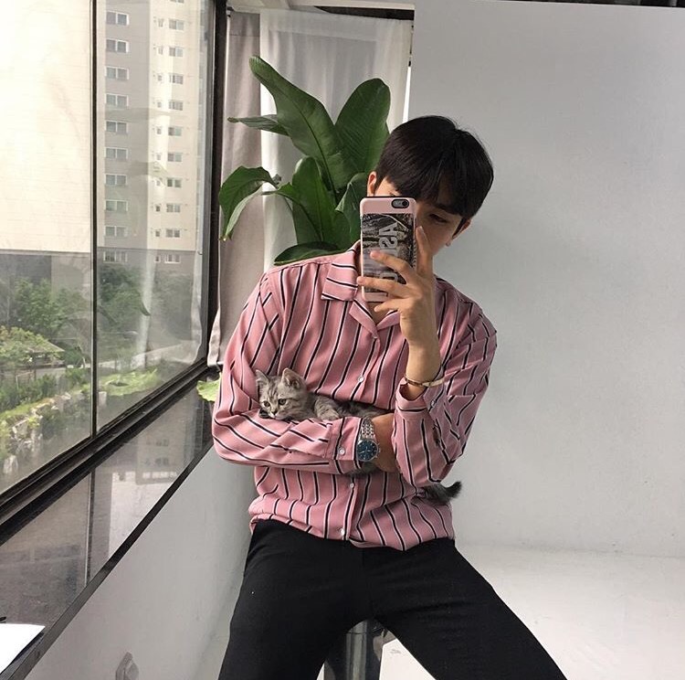 宰绿巧兴