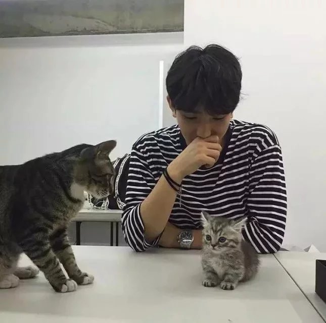 骆影剑宁